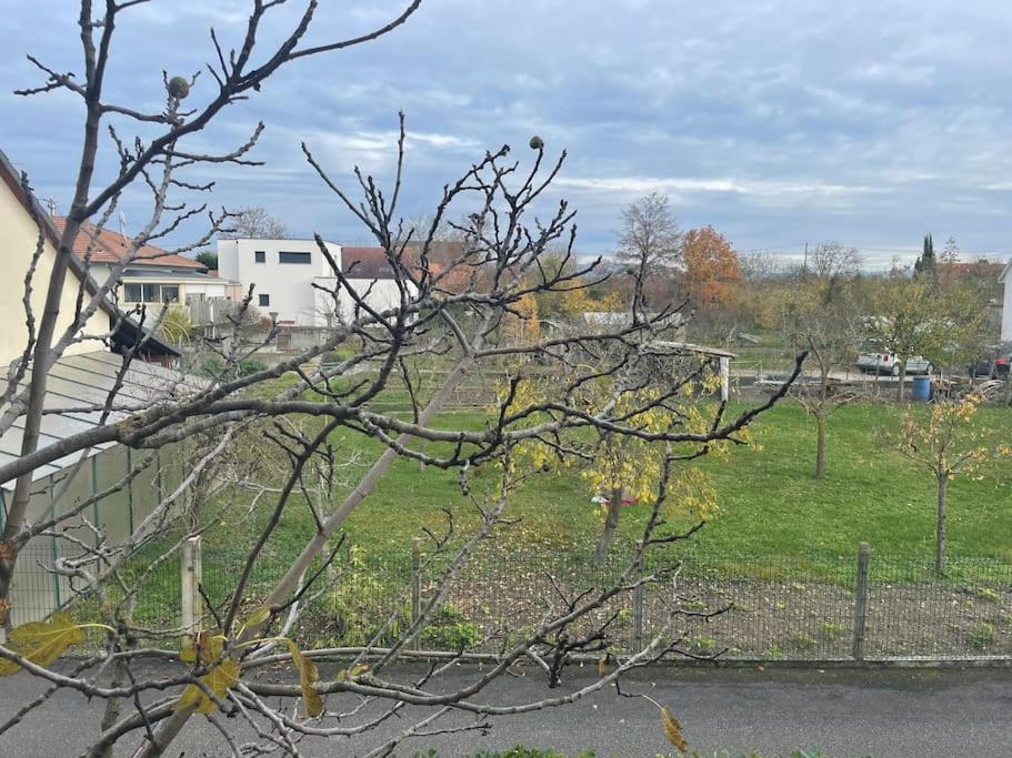 Apartament La Grange Proche D'Europapark Kunheim Zewnętrze zdjęcie