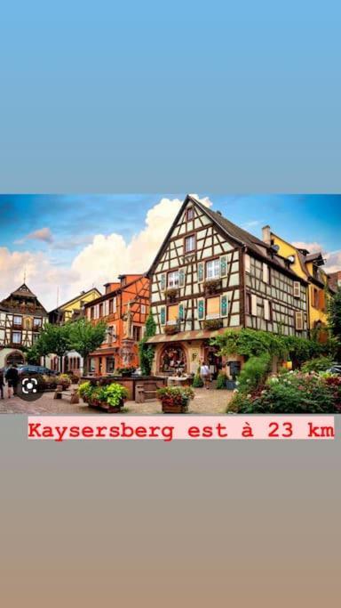 Apartament La Grange Proche D'Europapark Kunheim Zewnętrze zdjęcie