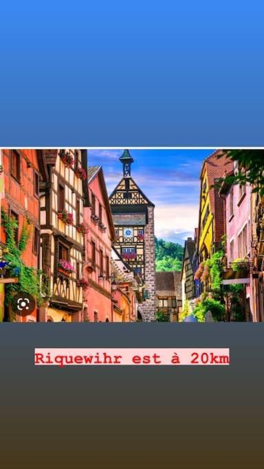 Apartament La Grange Proche D'Europapark Kunheim Zewnętrze zdjęcie