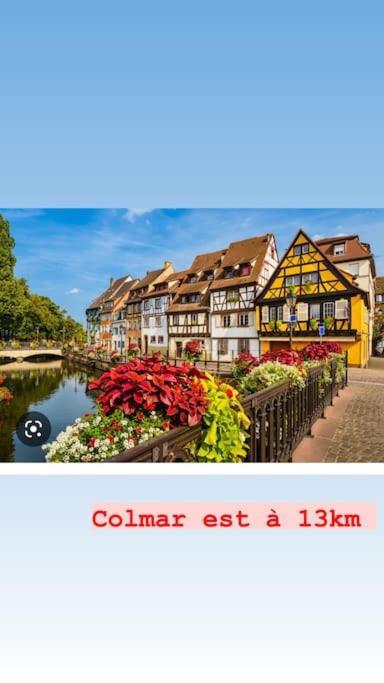 Apartament La Grange Proche D'Europapark Kunheim Zewnętrze zdjęcie